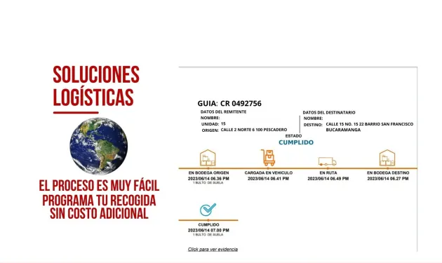 Consolidado
